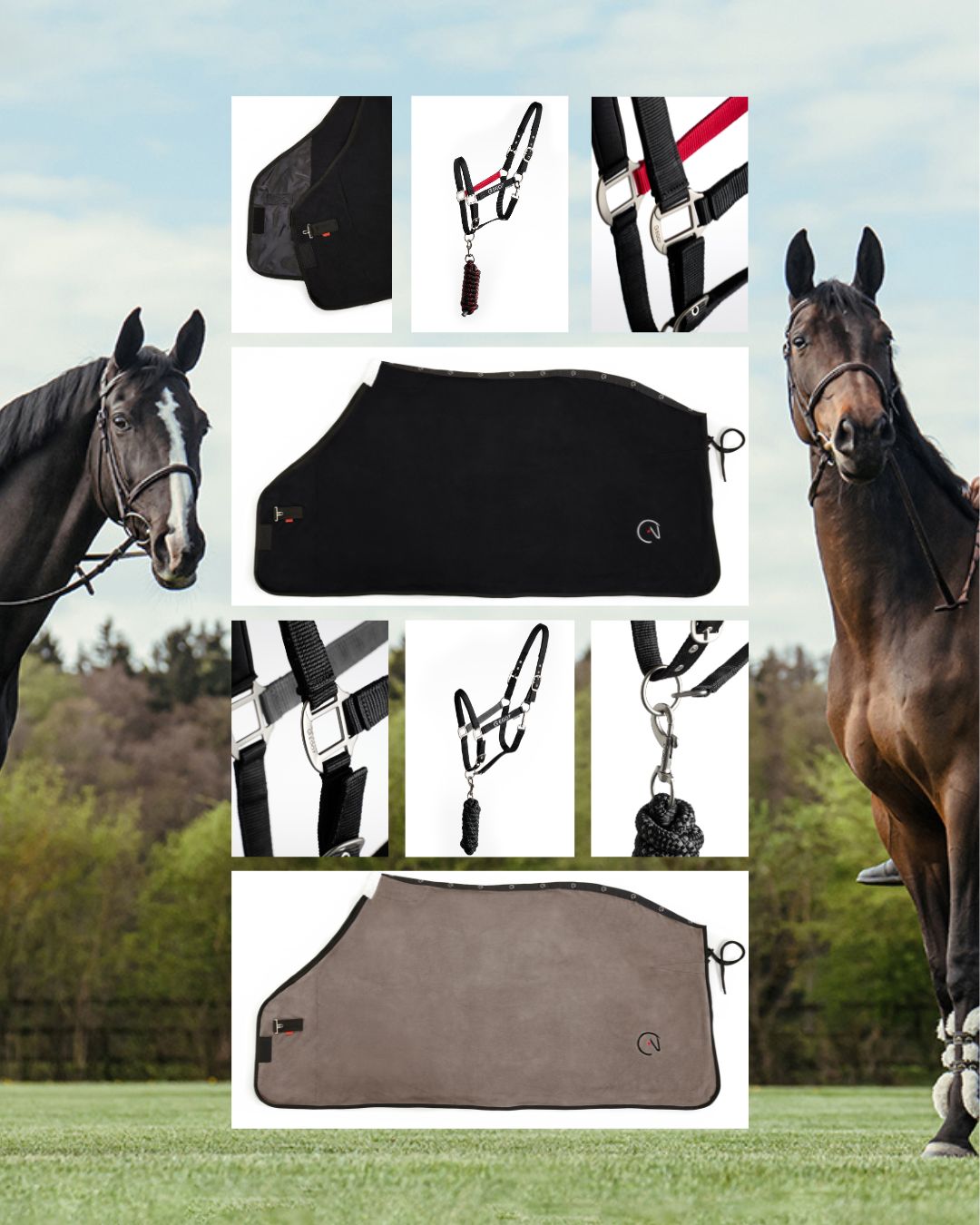 Ego7 odpocka a ohlávka (1)